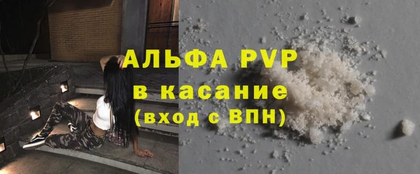 твердый Арсеньев