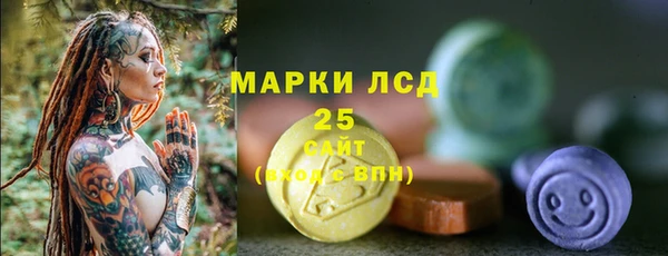 индика Аркадак