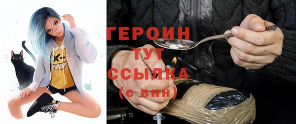 твердый Арсеньев