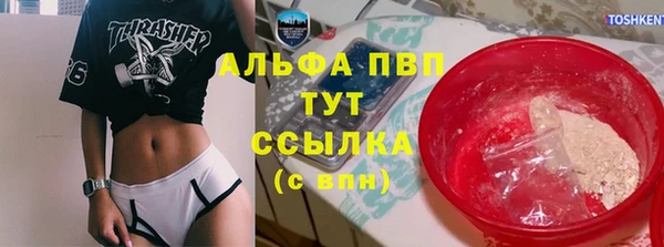 твердый Арсеньев