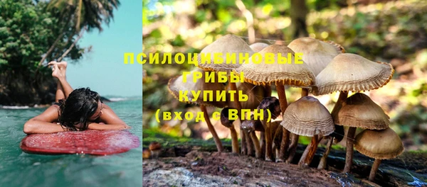 индика Аркадак