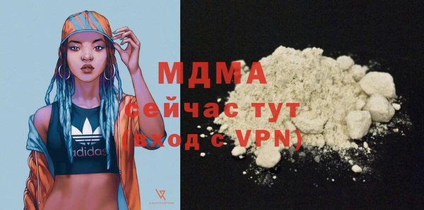 индика Аркадак